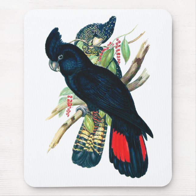 Red tailed, Black (Banksian) Cockatoos. Mouse Pad (Front)