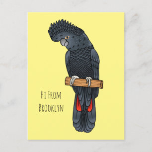 Red-tailed black cockatoo bird cartoon postcard
