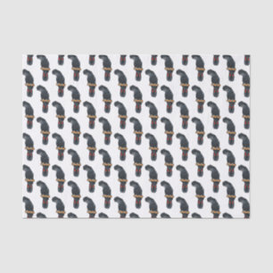 Red-tailed black cockatoo bird cartoon tissue paper