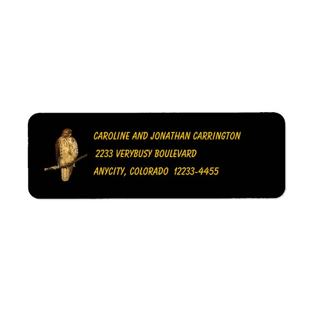 Red Tailed Hawk (Front)