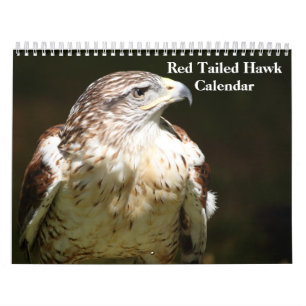 Red Tailed Hawk 2023 Calendar