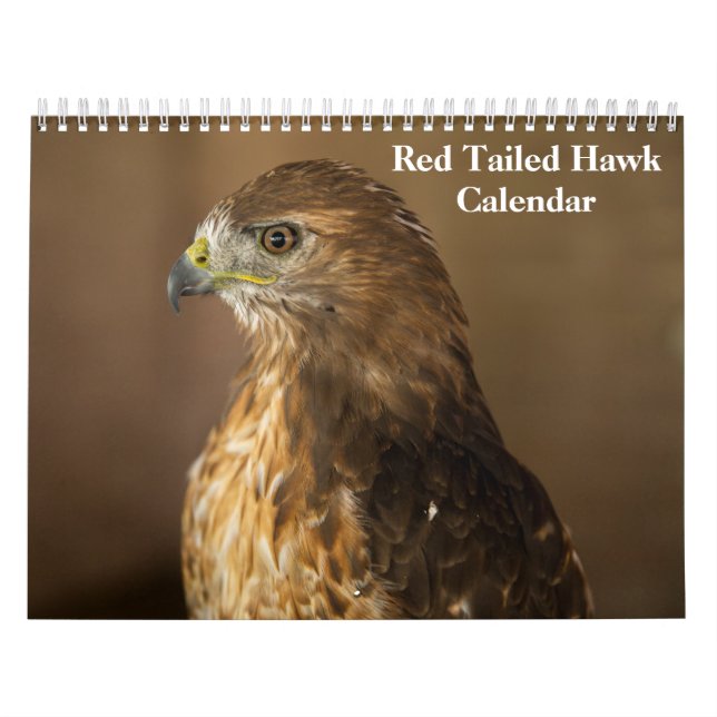 Red Tailed Hawk 2026 Calendar (Cover)