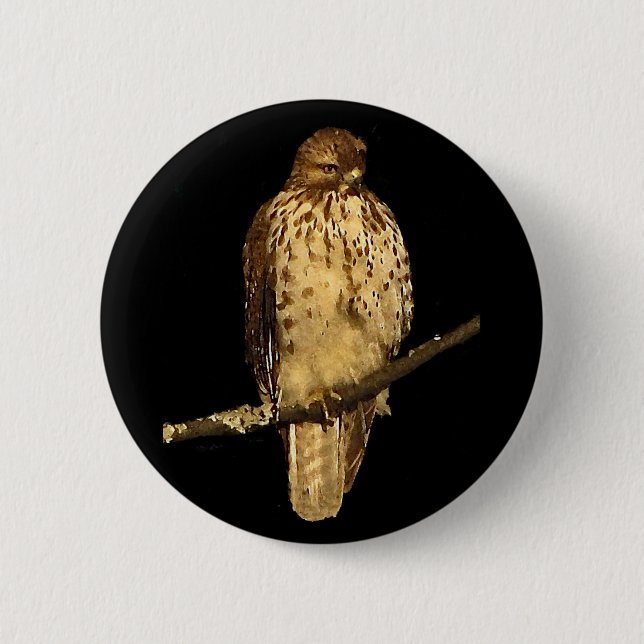 Red Tailed Hawk 2 Inch Round Button (Front)