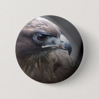 Red-tailed Hawk 2 Inch Round Button