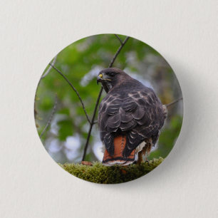 Red-Tailed Hawk 2 Inch Round Button