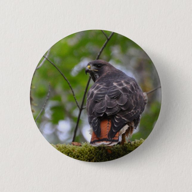 Red-Tailed Hawk 2 Inch Round Button (Front)