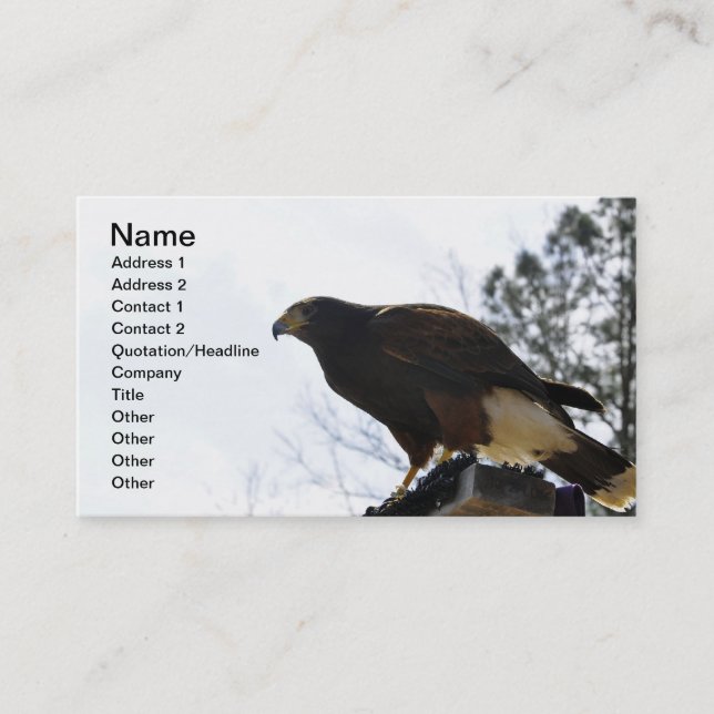 Red Tailed Hawk Against a Blue Sky Business Sky Business Card (Front)
