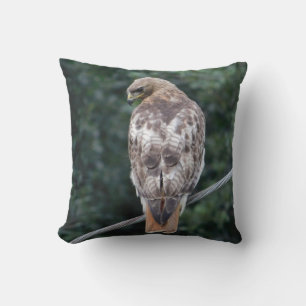 Red Tailed Hawk Back Feathers Pillow
