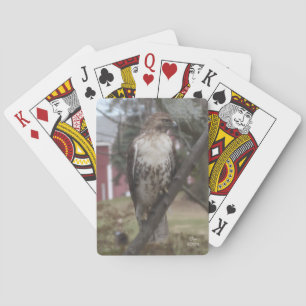 Red-tailed Hawk Bicycle Playing Cards
