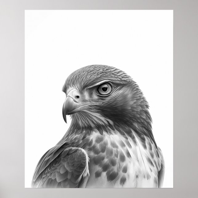 Red Tailed Hawk Bird Portrait  Black white  Poster (Front)