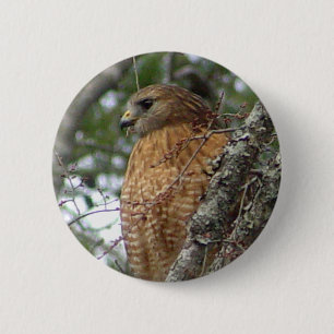 Red Tailed Hawk Button