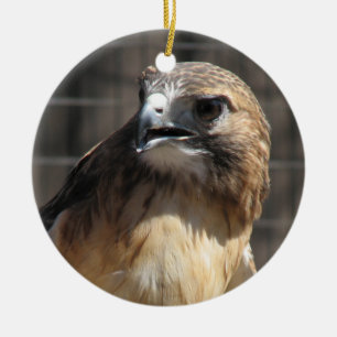 Red Tailed Hawk/Buzzard Ornament