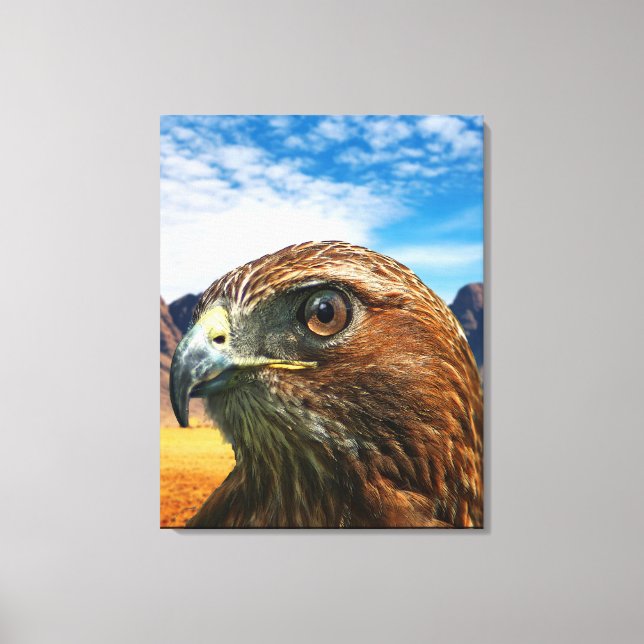 Red tailed hawk canvas print (Front)