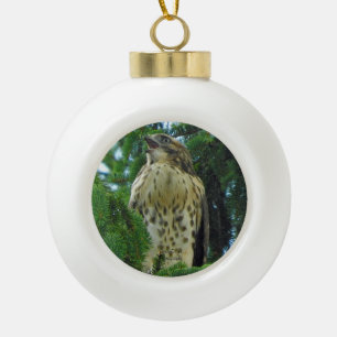 Red-Tailed Hawk Ceramic Ball Christmas Ornament