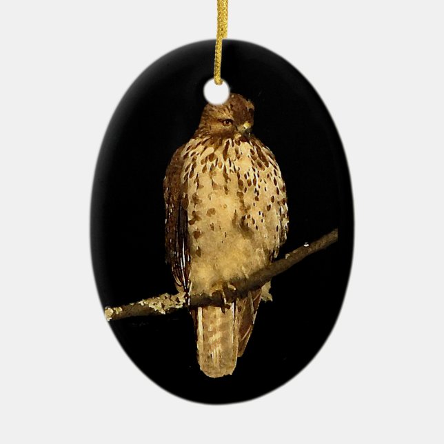 Red Tailed Hawk Ceramic Ornament (Front)