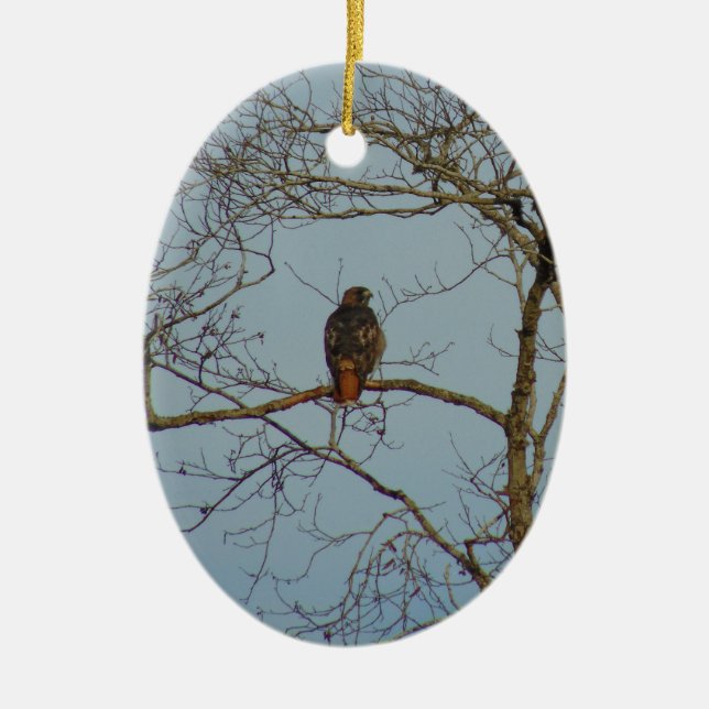 Red Tailed Hawk Ceramic Ornament (Front)