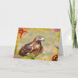 Red-Tailed Hawk Christmas Card