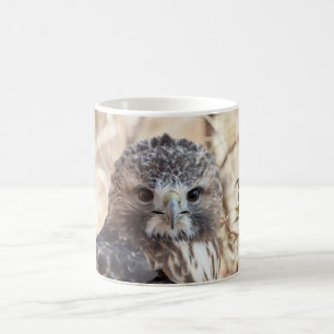 Red Tailed Hawk Coffee Mug