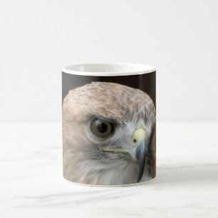 Red tailed hawk coffee mug