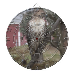 Red-Tailed Hawk Dart Board
