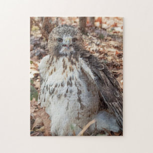 Red Tailed Hawk Doubled Jigsaw Puzzle