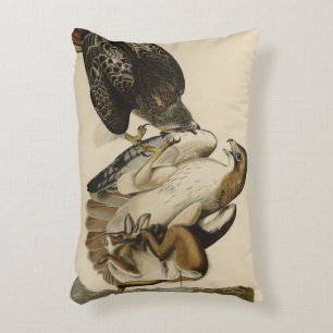 Red-tailed Hawk from Audubon's Birds of America Accent Pillow