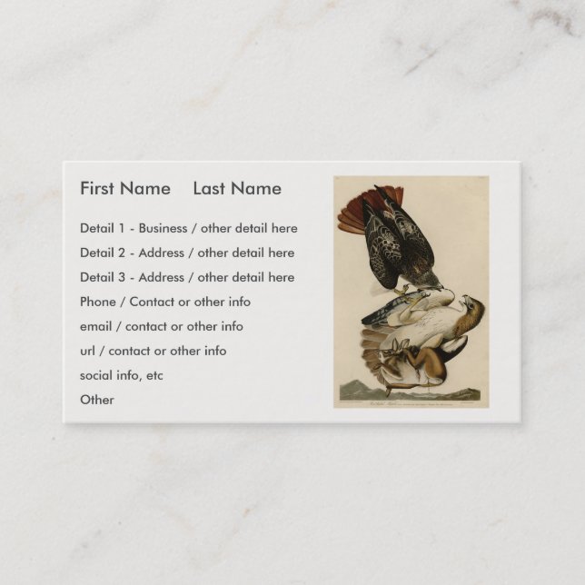 Red-tailed Hawk from Audubon's Birds of America Business Card (Front)