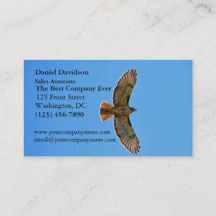 Red-Tailed Hawk in Flight Business Card