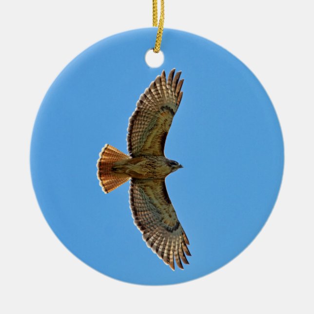 Red-Tailed Hawk in Flight Ceramic Ornament (Front)