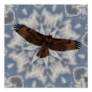 Red-Tailed Hawk in Flight Full Wing Span Poster