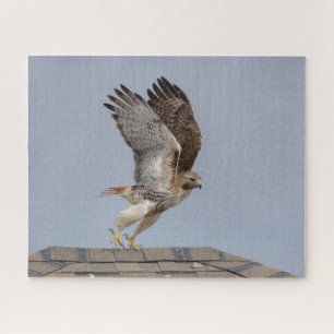 Red-tailed hawk in flight jigsaw puzzle