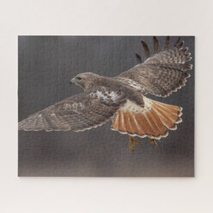 Red-tailed hawk in flight jigsaw puzzle