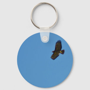 Red Tailed Hawk in Flight Keychain