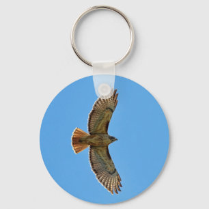 Red-Tailed Hawk in Flight Keychain