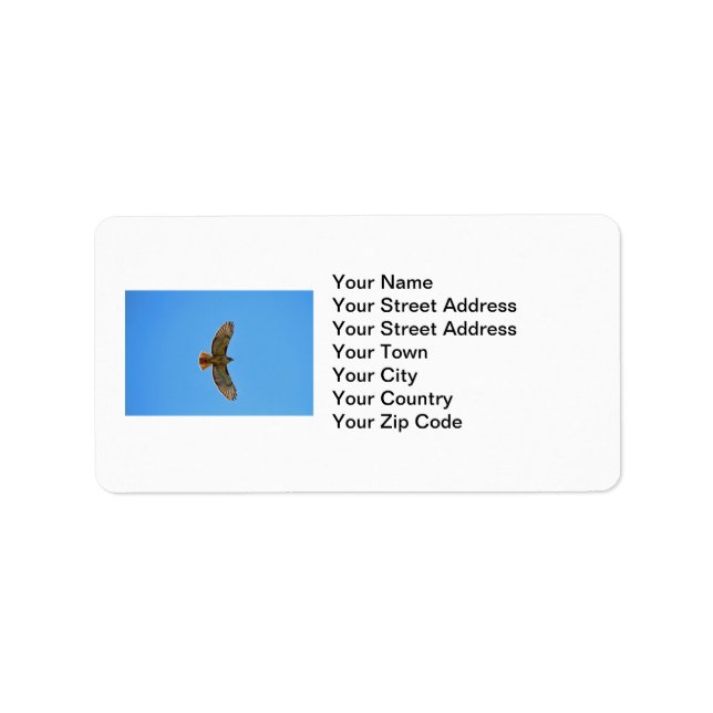 Red-Tailed Hawk in Flight Label (Front)