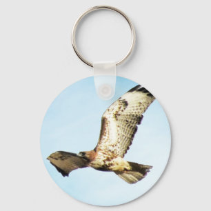 Red-tailed Hawk in Flight Photo Keychain