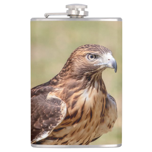 Red-tailed hawk in the Hudson Valley Hip Flask (Front)