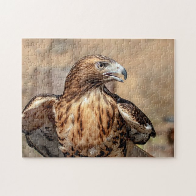Red-tailed hawk in the Hudson Valley Jigsaw Puzzle (Horizontal)