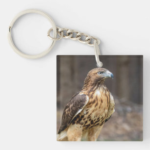 Red-tailed hawk in the Hudson Valley Keychain