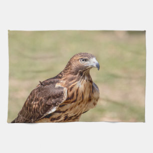 Red-tailed hawk in the Hudson Valley Kitchen Towel