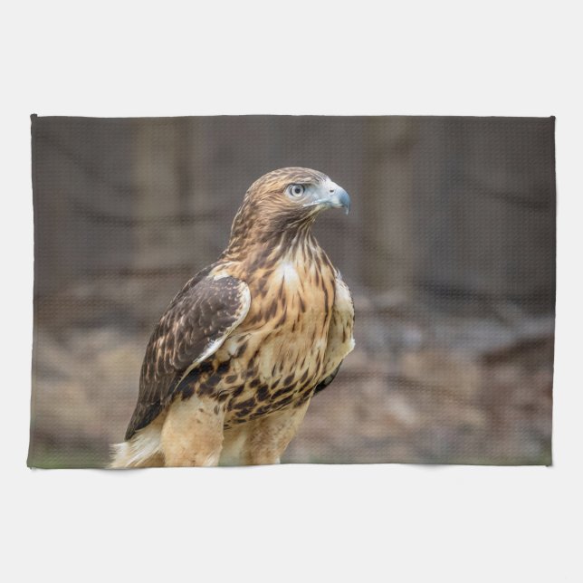 Red-tailed hawk in the Hudson Valley Kitchen Towel (Horizontal)