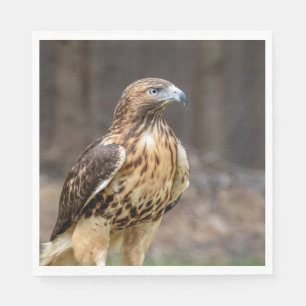 Red-tailed hawk in the Hudson Valley Napkin