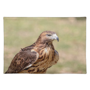 Red-tailed hawk in the Hudson Valley Placemat