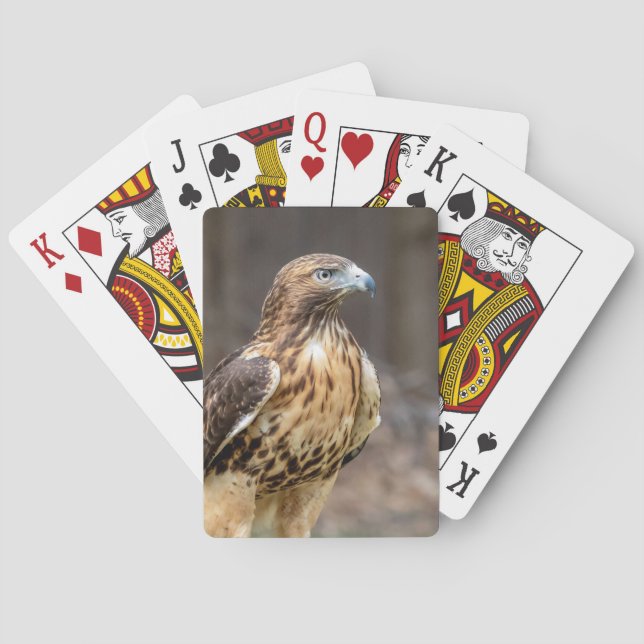 Red-tailed hawk in the Hudson Valley Playing Cards (Back)