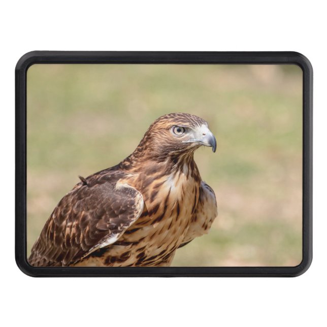 Red-tailed hawk in the Hudson Valley Trailer Hitch Cover (Front)