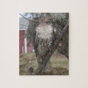Red-tailed Hawk in Tree  Jigsaw Puzzle