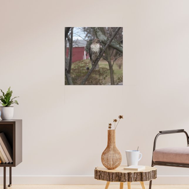 Red-tailed Hawk in Tree Poster (Living Room 3)
