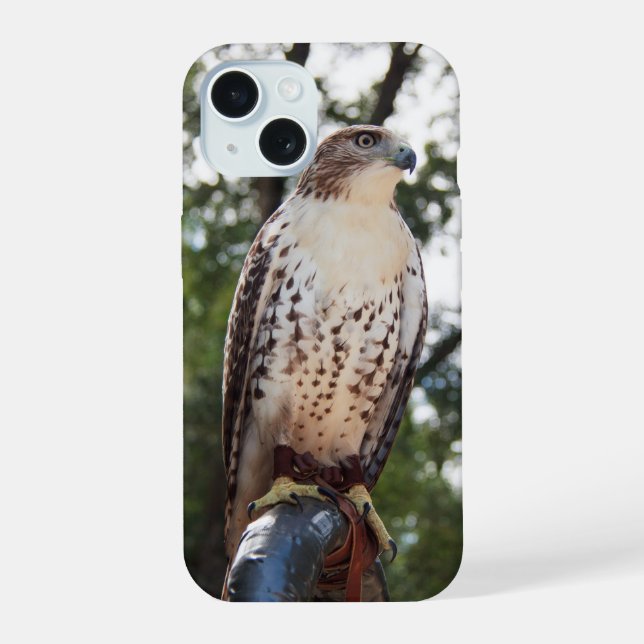 Red-Tailed Hawk iPhone 15 Case (Back)