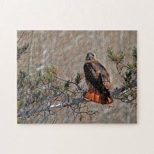 Red‑Tailed Hawk Jigsaw Puzzle