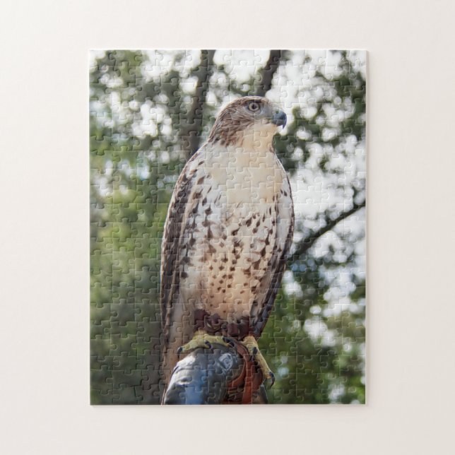 Red-Tailed Hawk Jigsaw Puzzle (Vertical)